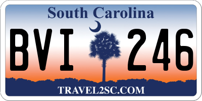 SC license plate BVI246
