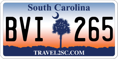 SC license plate BVI265