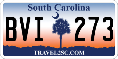 SC license plate BVI273