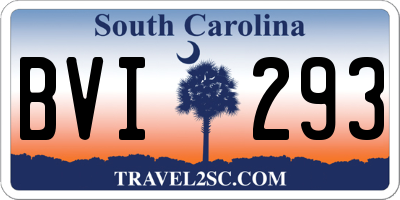 SC license plate BVI293