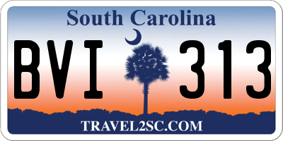SC license plate BVI313