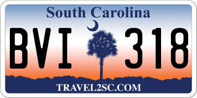 SC license plate BVI318