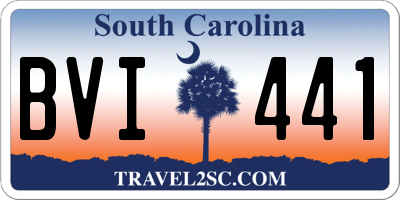 SC license plate BVI441