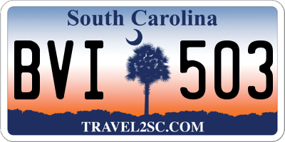 SC license plate BVI503