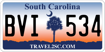 SC license plate BVI534