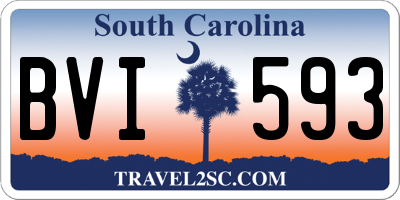 SC license plate BVI593