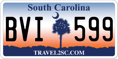 SC license plate BVI599
