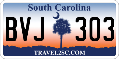SC license plate BVJ303
