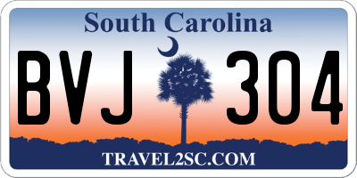 SC license plate BVJ304