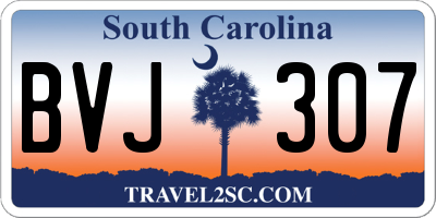 SC license plate BVJ307