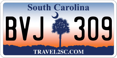 SC license plate BVJ309