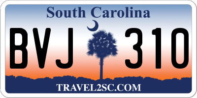 SC license plate BVJ310