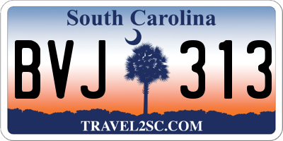 SC license plate BVJ313