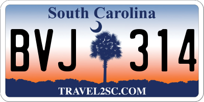 SC license plate BVJ314