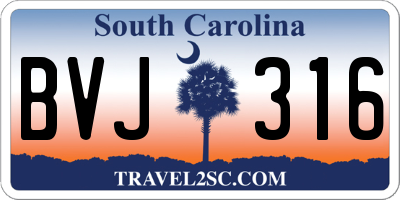SC license plate BVJ316