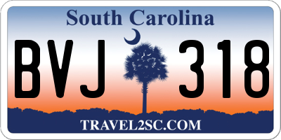 SC license plate BVJ318