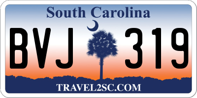 SC license plate BVJ319