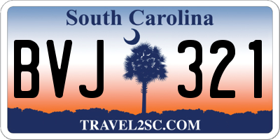 SC license plate BVJ321