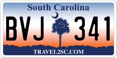 SC license plate BVJ341