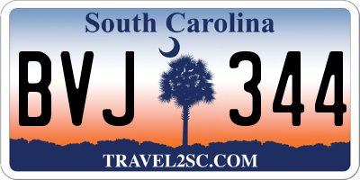 SC license plate BVJ344