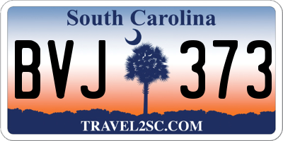 SC license plate BVJ373