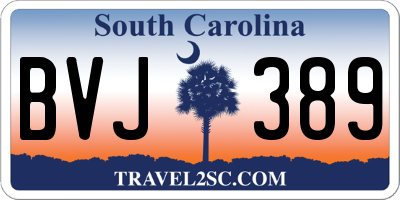 SC license plate BVJ389