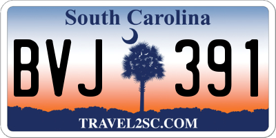 SC license plate BVJ391
