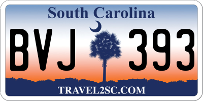 SC license plate BVJ393