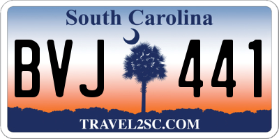 SC license plate BVJ441