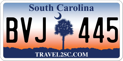 SC license plate BVJ445