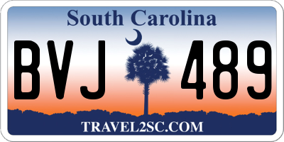 SC license plate BVJ489