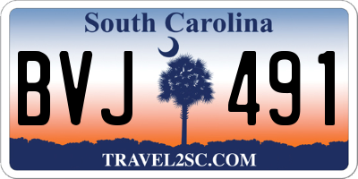 SC license plate BVJ491