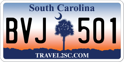 SC license plate BVJ501