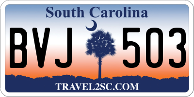 SC license plate BVJ503