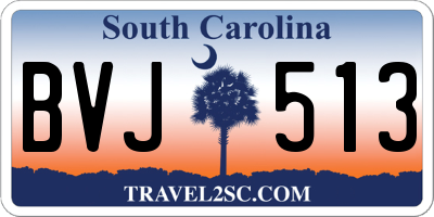 SC license plate BVJ513