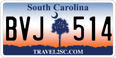 SC license plate BVJ514