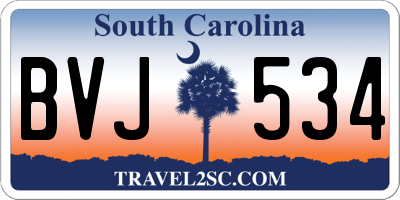SC license plate BVJ534
