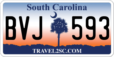 SC license plate BVJ593