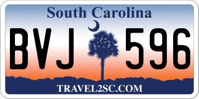 SC license plate BVJ596