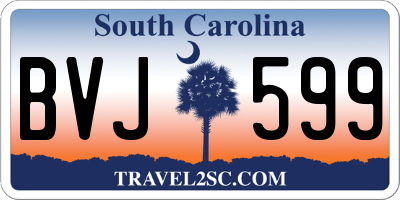 SC license plate BVJ599