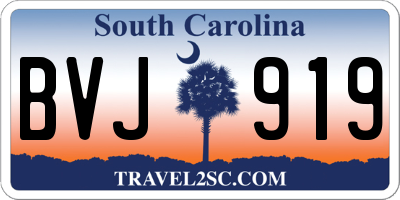 SC license plate BVJ919