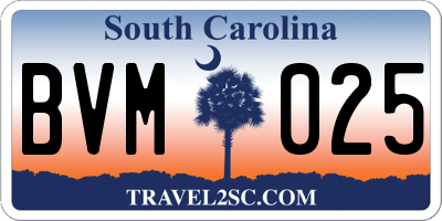 SC license plate BVM025