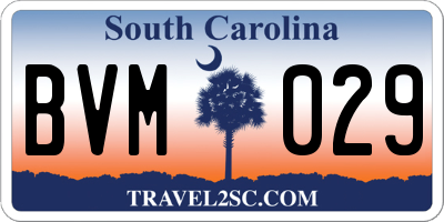 SC license plate BVM029