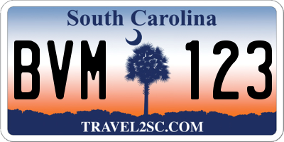 SC license plate BVM123