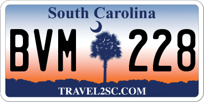 SC license plate BVM228