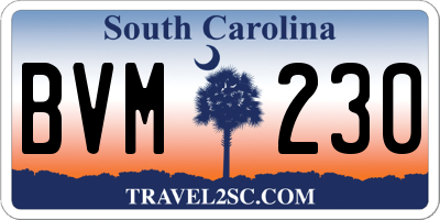 SC license plate BVM230