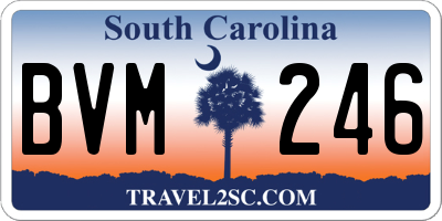 SC license plate BVM246