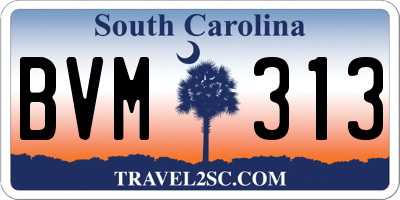 SC license plate BVM313