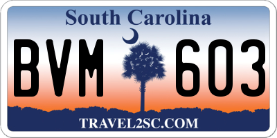 SC license plate BVM603