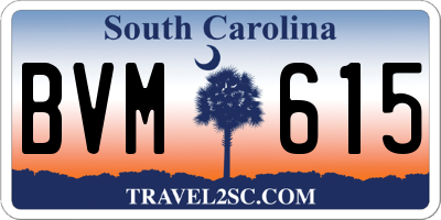 SC license plate BVM615